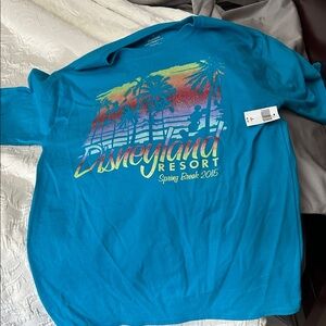 Hanes Teal Disneyland Resort Graphic Tee with Sunset Palms